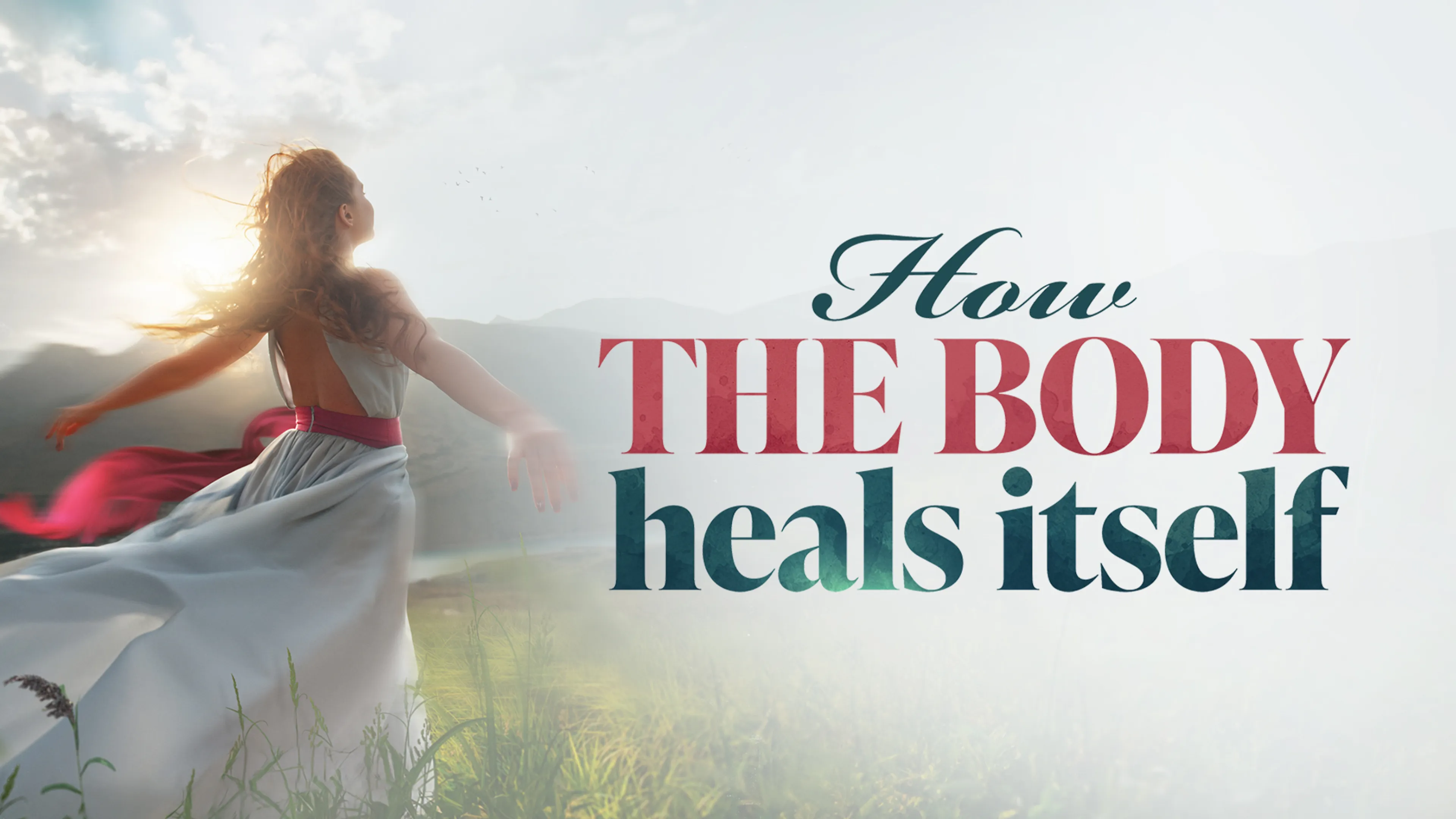 How the Body Heals Itself poster